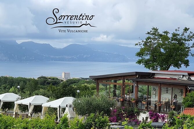 Private Wine Tour,lunch,8 wines, dedicated sommelier and trasport - What the $313.77 price includes