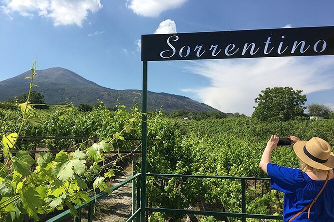 Private Wine Tour,lunch,8 wines, dedicated sommelier and trasport - Walking through the Sorrentino vineyard