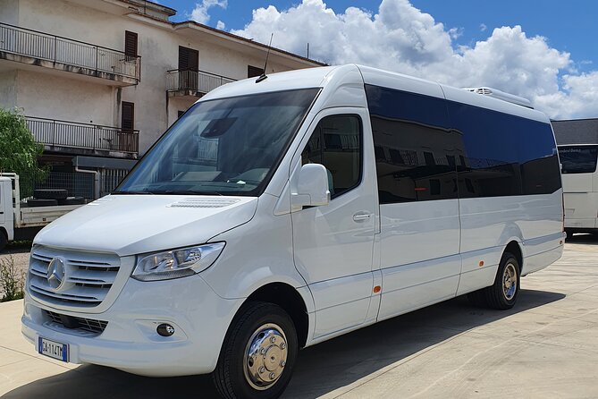 Round-Trip Shuttle Transfer from Naples to Pompeii - Pickup in central Naples and at the cruise port