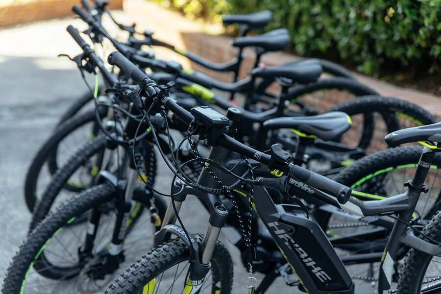 Scenic E-Bike Ride with Vineyard Wine & Meal - Key points to know before you book