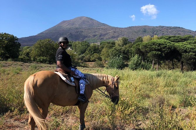 Scenic Horseback Ride, Wine Tasting & Lunch on Mt. Vesuvius - Why This Vesuvius Horseback Ride Is Different
