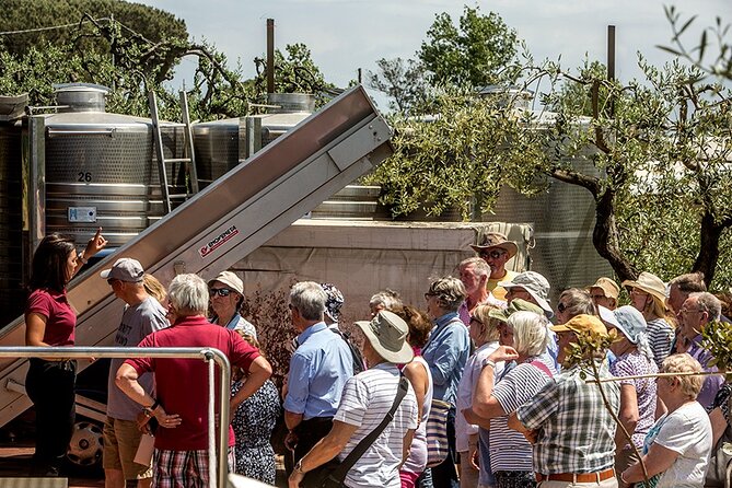 Scenic Wine Tasting & Lunch on the Slopes of Vesuvius from Naples - What arrives at the table