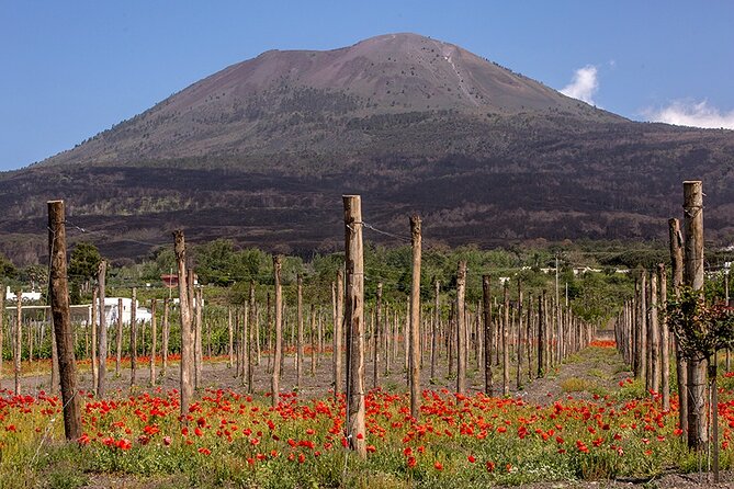 Scenic Wine Tasting & Lunch on the Slopes of Vesuvius from Naples - How the price works out at $108.84