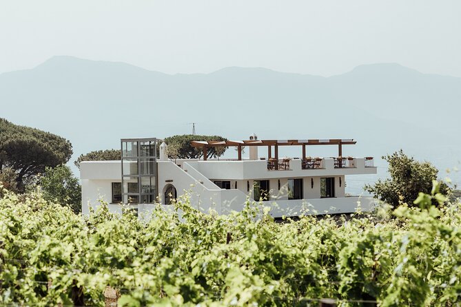 Scenic Wine Tasting & Lunch on the Slopes of Vesuvius from Naples - A vineyard stroll with a view