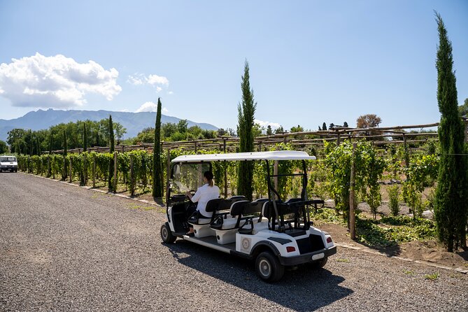 Seafood Lunch & Wine Tasting with Scenic Golf Cart Tour - Key points at a glance
