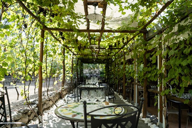 Seafood Lunch & Wine Tasting with Scenic Golf Cart Tour - How the wine pairing affects the value