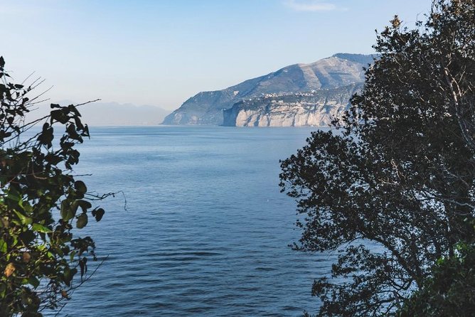 Shared Shuttle Service from Naples Central Station to Sorrento - Key points to know before booking