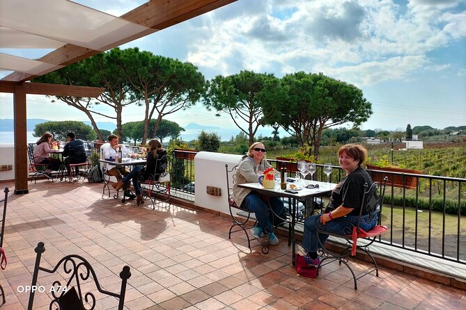 Shore excursion Naples city tour, Pompeii & Winery Cantina del Vesuvio - The price, extra fees, and what you actually receive