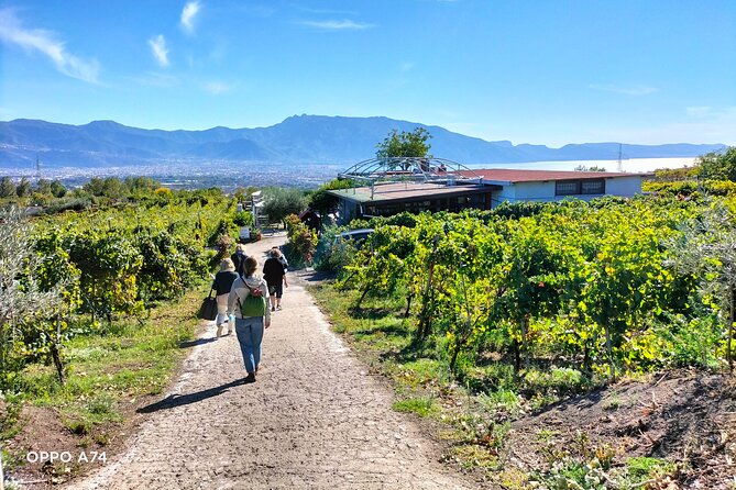 Shore excursion Naples city tour, Pompeii & Winery Cantina del Vesuvio - Should you book this Naples and Pompeii tour?