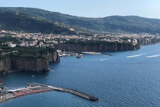 Shore Excursion Pompeii Sorrento & Positano from Naples - Meeting your driver at the Naples port