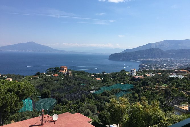 Shore Excursion Sorrento Positano Pompei - Is $289.40 per person fair?