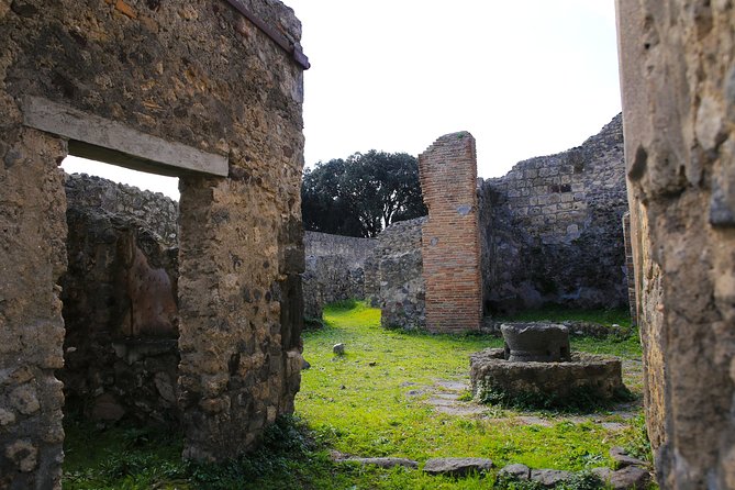 Shore Excursion Tour for Kids from Naples to Pompeii and Amalfi Coast - Who should book this experience?