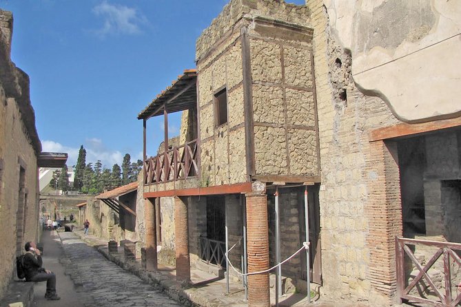 Skip the Line Ancient Herculaneum Walking Tour with Top Rated Guide - Meeting at Ercolano Scavi