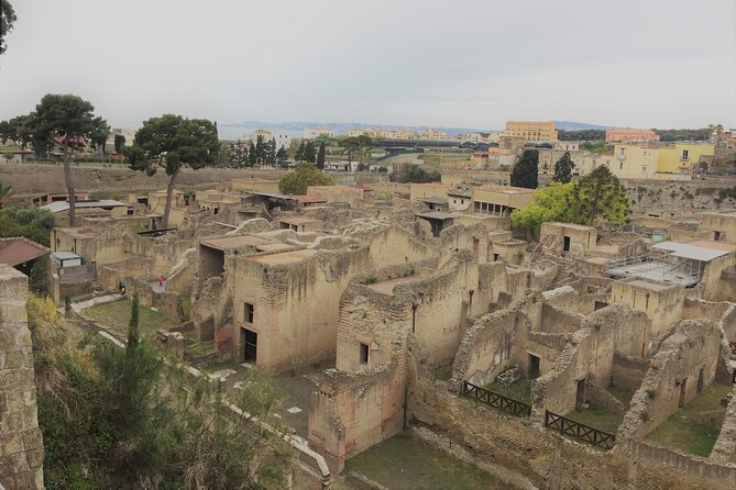 Skip the Line Ancient Herculaneum Walking Tour with Top Rated Guide - Casa di Nettuno e Anfitrite