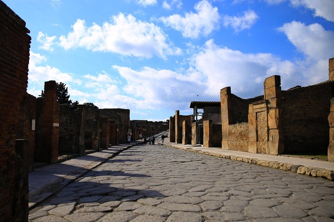 Skip-the-Line Exclusive Private Ancient Pompeii & Vesuvius Volcano Full Day Tour - Casa del Menandro rewards close attention