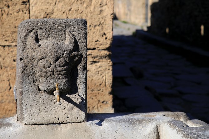Skip-the-Line Half-Day Private Tour Ancient Pompeii Highlights with Native Guide - Meeting at Hotel Vittoria near Pompeii’s entrance