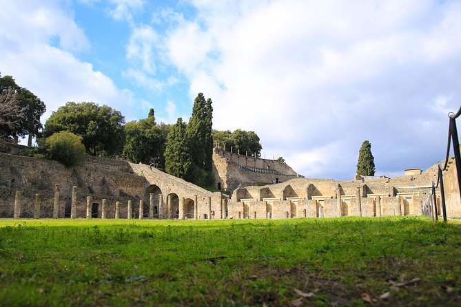 Skip-the-Line Half-Day Private Tour Ancient Pompeii Highlights with Native Guide - Via dell’Abbondanza and Roman street life
