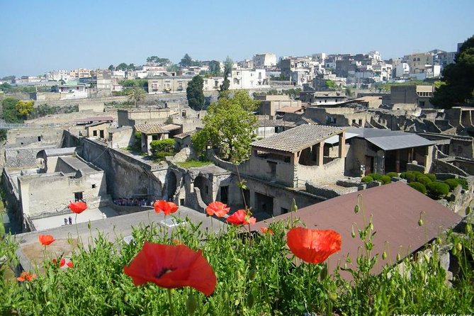 Skip the Line Herculaneum Ruins Ticket - House of the Relief of Telephus