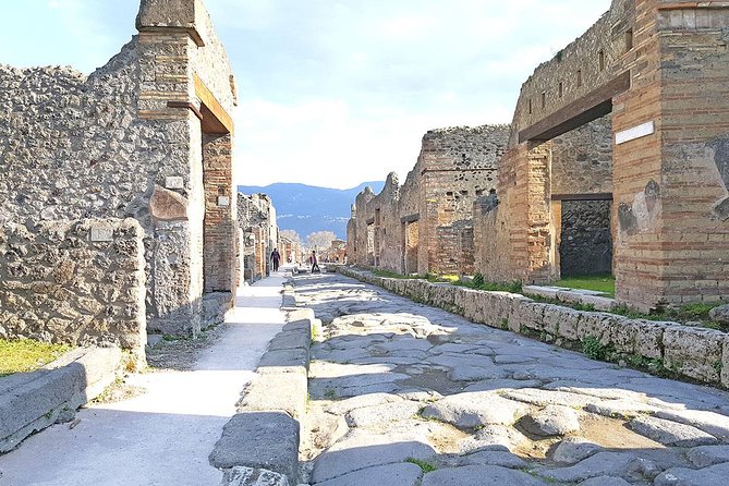 Skip-the-Line Pompeii & Volcano Vesuvius Day Tour w Hotel or Port Pickup - Who should book this day trip