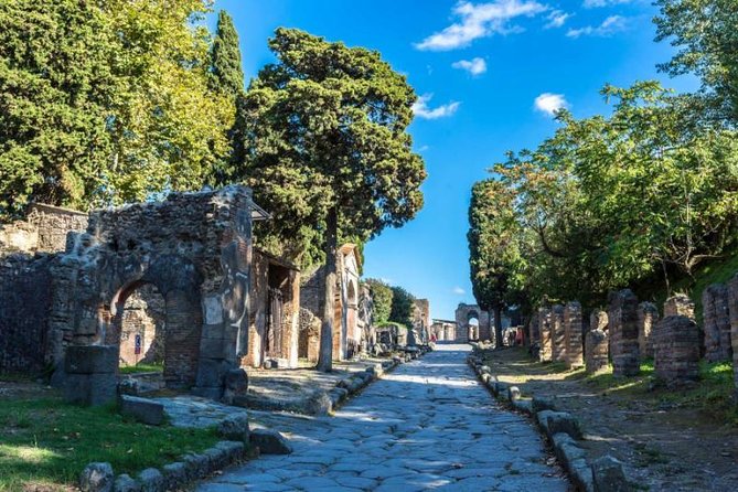 Skip the Line Private Pompeii Guided Tour - Why a guide helps at Pompeii