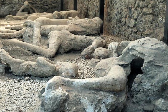 Skip the Line Private Pompeii Guided Tour - Temples of Venus and Jupiter