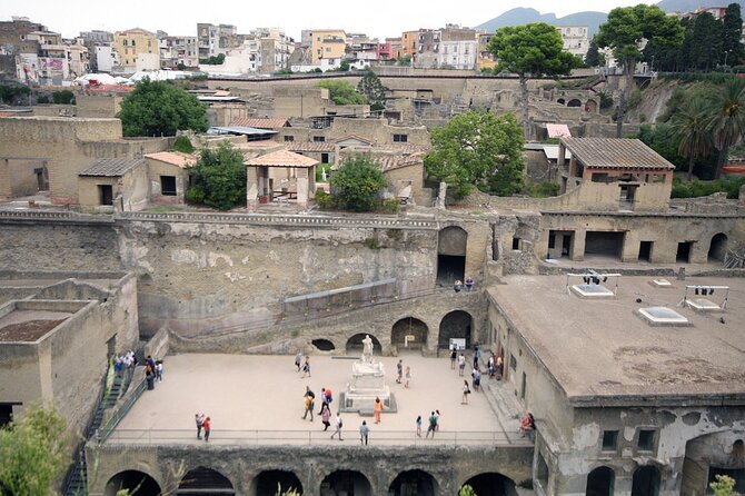 Skip-the-Line Ticket for Herculaneum Ruins - Meeting the Askos Tours representative