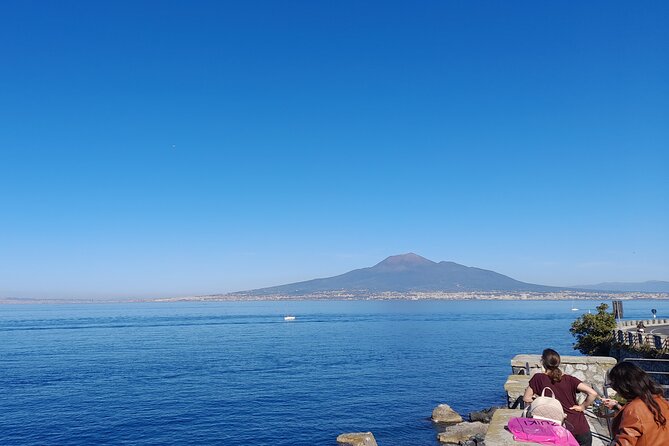 Skip-The-Line Tickets VIP Small Group Tour To Pompei and Vesuvius - Transport, group size, and the value of $325.11