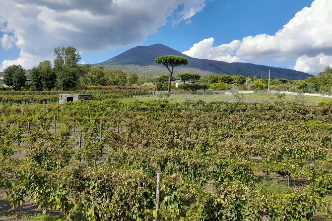 Skip-The-Line Tickets VIP Small Group Tour To Pompei and Vesuvius - Practical advice for a smoother day
