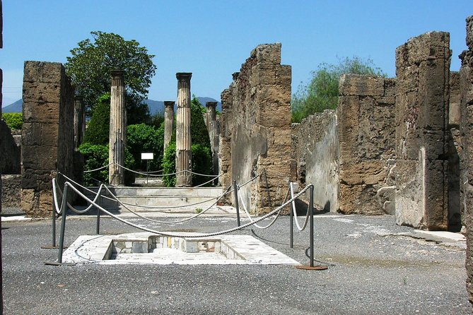 Skip-the-lines Private Tour of Pompeii Including the Theatre the Forum and all Highlights - Price, pace, and what you receive