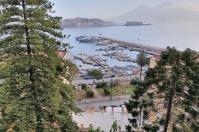 Small Group Naples City Sightseeing Tour - Piazza del Plebiscito, the Royal Palace, and San Carlo