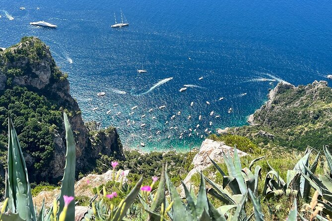 Small Group Tour from Rome to Blue Grotto, Anacapri and Capri - Anacapri and the ride up Monte Solaro