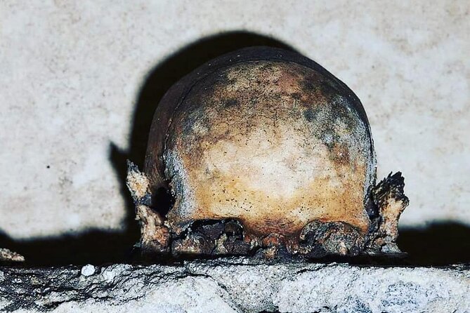 The Skull with the Ears: the Cult of the Dead in the Church of S. Luciella - Key points at a glance