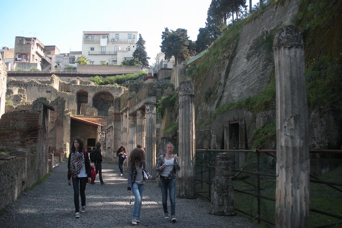 Tour in the ruins of Herculaneum with an archaeologist - Who will get the most from this Herculaneum tour?