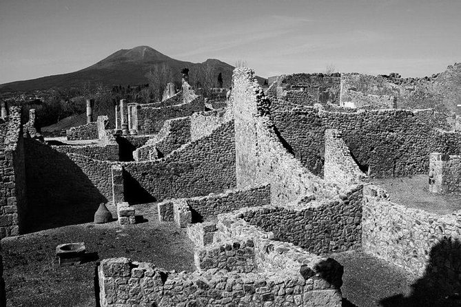 Tour in the ruins of Pompeii with an archaeologist - Who should book this Pompeii tour