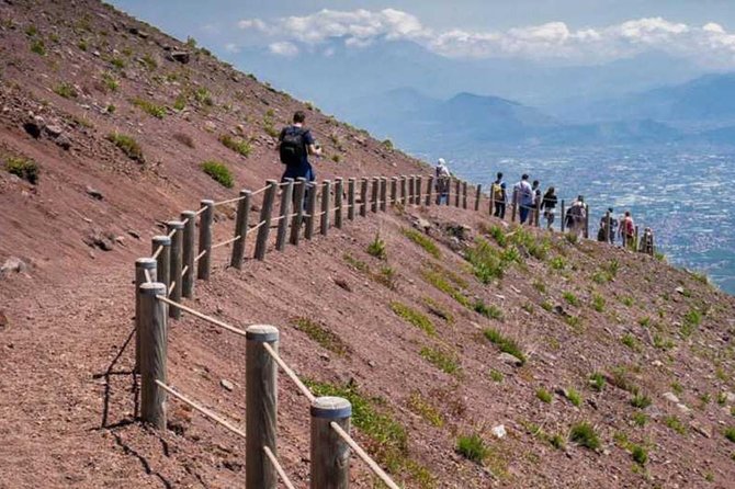 Tour of Mt. Vesuvius+Sorrento+Pompeii (Full Day) - Who will get the most from this excursion