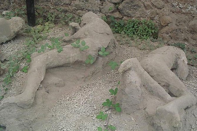 Tour of Mt. Vesuvius+Sorrento+Pompeii (Full Day) - Booking, cancellation, and practical costs