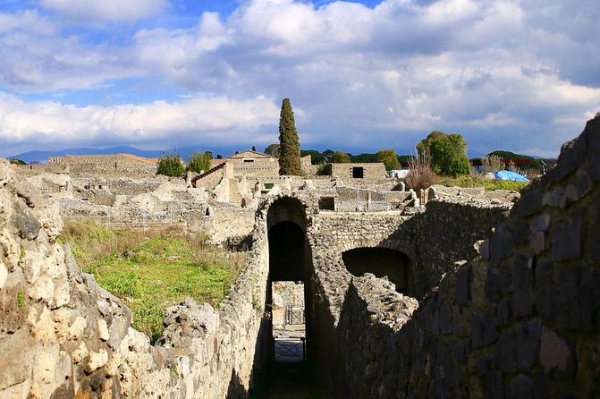 Tour of Pompeii for families with Transfer from Naples & Sorrento - Timing, walking, and summer comfort