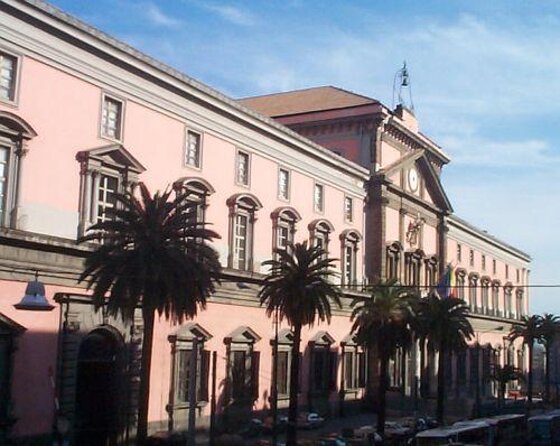 Tour of the Archaeological Museum of Naples - Key points to know before you book