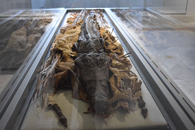 Tour of the Archaeological Museum of Naples - Timing, transport, and practical details