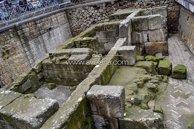 Tour of the Greek-roman Naples with an archaeologist - Is the $272.20 group price fair?