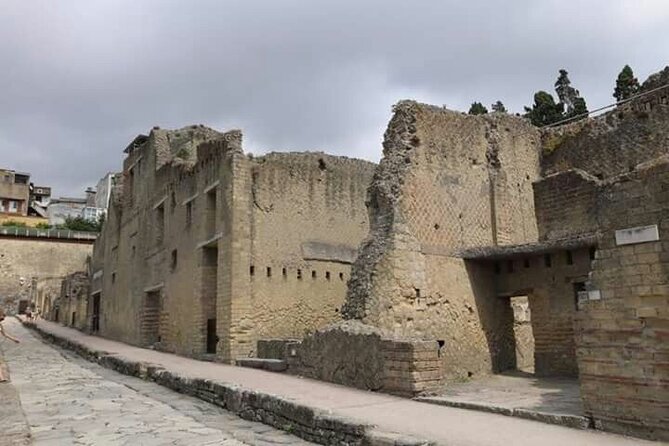 Transfer From Naples Train Station/area to Sorrento 2hr stop in Herculaneum - What the $178.03 Price Includes
