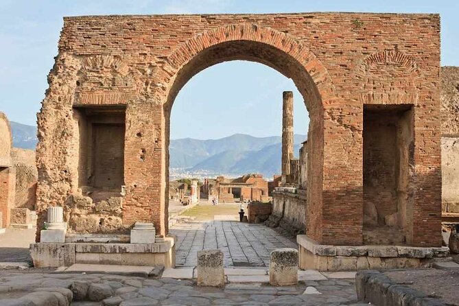 Transfer Naples Sorrento plus Pompeii or vice versa - Price and what the $258.88 covers