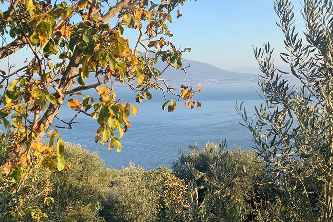 Unique Tour | Discovering Amalfi on a Minivan with driver - Ravello: gardens above the sea