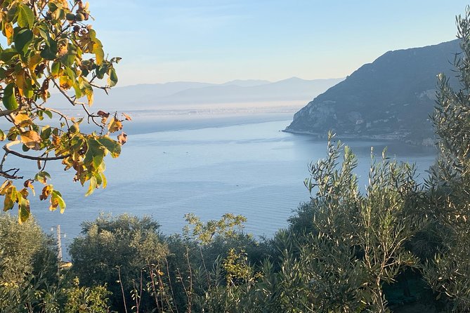 Unique Tour | Discovering Amalfi on a Minivan with driver - Is $325.80 per person good value?