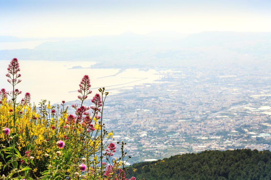 Vesuvio Skip The Line Ticket With Digital Audioguide - Key points to know before you book