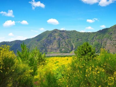 Vesuvio Tour_Transfer+Entrance ticket