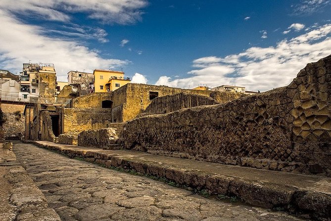 Vesuvius and Herculaneum Day Trip from Naples with Skip the Line - Tickets, vouchers, and the lack of a guide