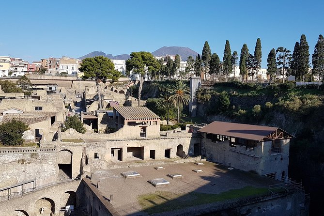 Vesuvius and Herculaneum Day Trip from Naples with Skip the Line - Is $120.41 a fair price?