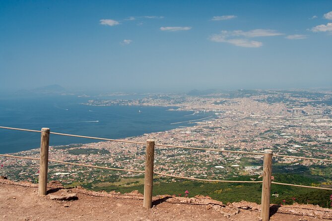 Vesuvius and Herculaneum Day Trip from Naples with Skip the Line - Who should book this day trip?
