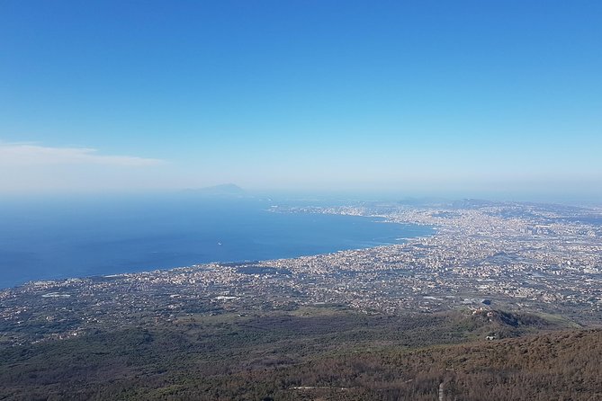 Vesuvius: Half Day Trip from Naples - Reaching 1,000 meters by bus